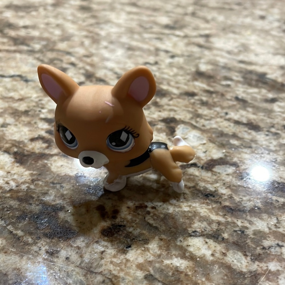 Littlest Pet Shop 639 Brown White Black Corgi Dog Blue Diamond Eyes